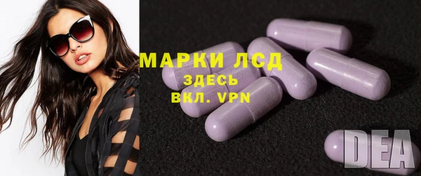 гидра Вязьма