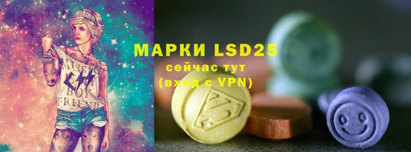 дмт Вяземский