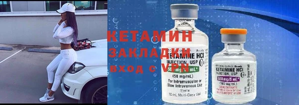гидра Вязьма
