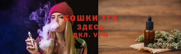 дмт Вяземский
