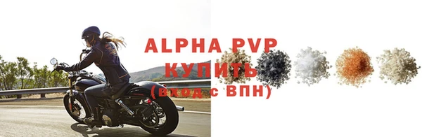 дмт Вяземский