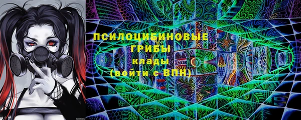 гидра Вязьма