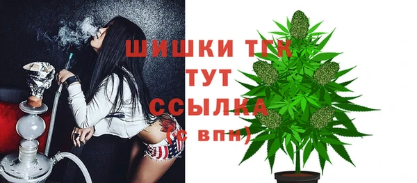 дмт Вяземский