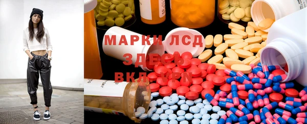 гидра Вязьма