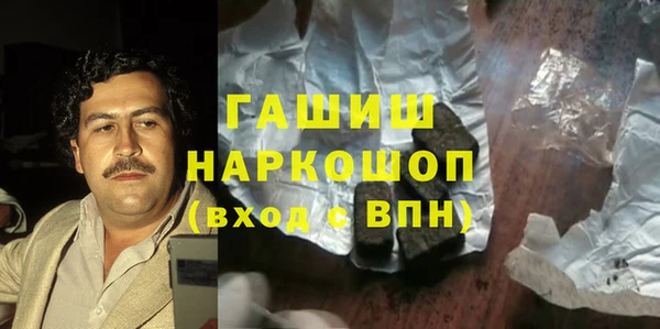 гидра Вязьма