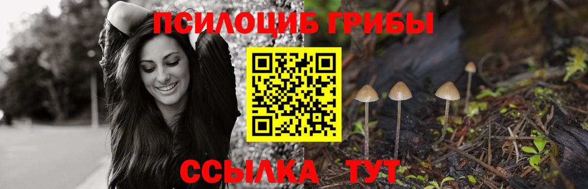Псилоцибиновые грибы мицелий  Вход с VPN  Снежинск  Галлюциногенные грибы прущие грибы 